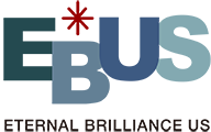 株式会社EBUS